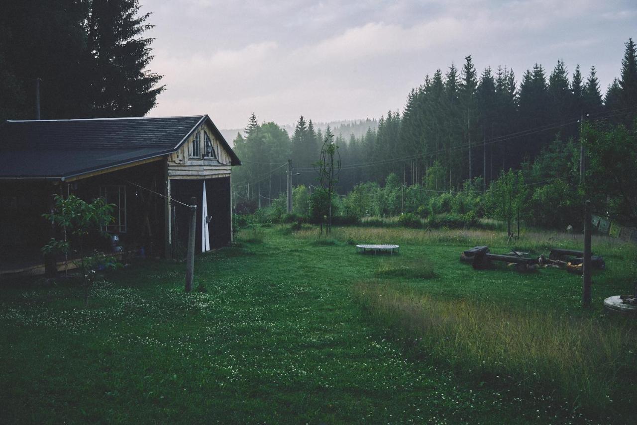 Blickinsfreie - Cabin Βίλα Schöneck Εξωτερικό φωτογραφία